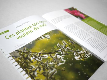 mise en page d'un article du magazine Jardins de France